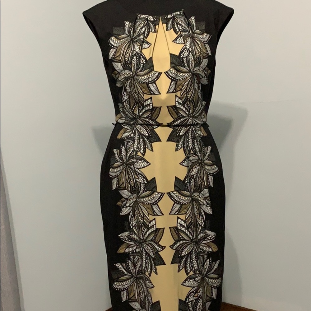 Gorgeous, form fitting dress